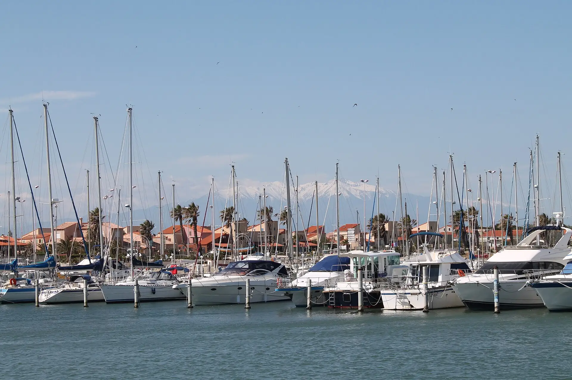 Le port Saint-Ange au Barcarès, avec le Canigou